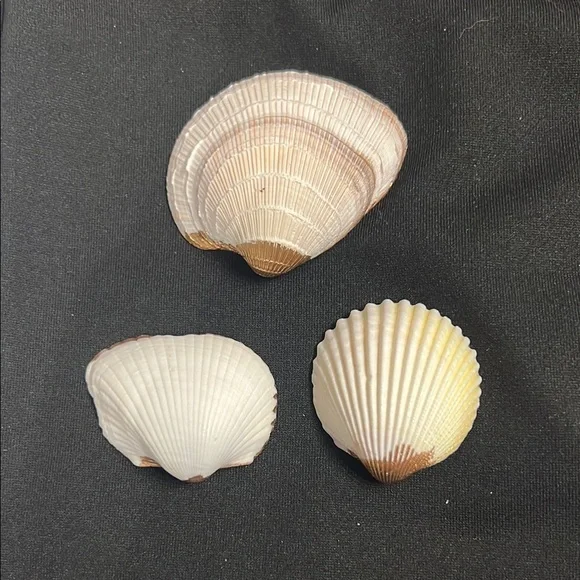 Handcrafted Floral Shell decoupage Trinket Dishes - Gold and Multicolor set of 3 - Picture 2 of 8